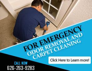 Rug Cleaning Service - Carpet Cleaning Temple City, CA
