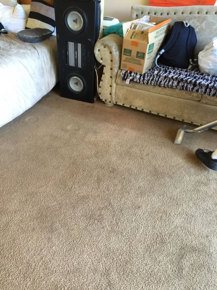 Mistakes with Carpet Cleaning